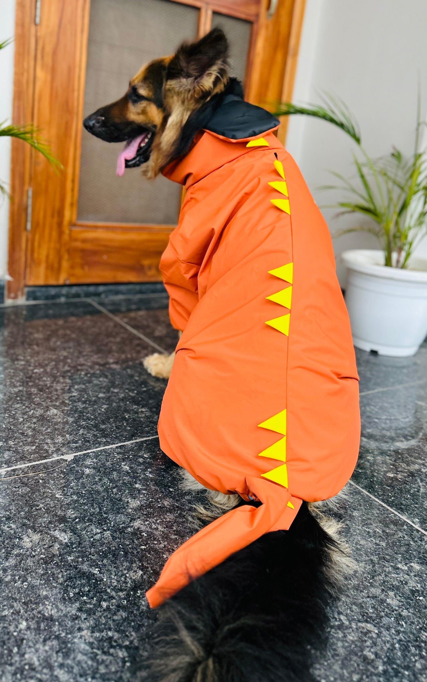 Petffection Dragon Drizzle Raincoat – Waterproof Dog Raincoat with Legs & Hood