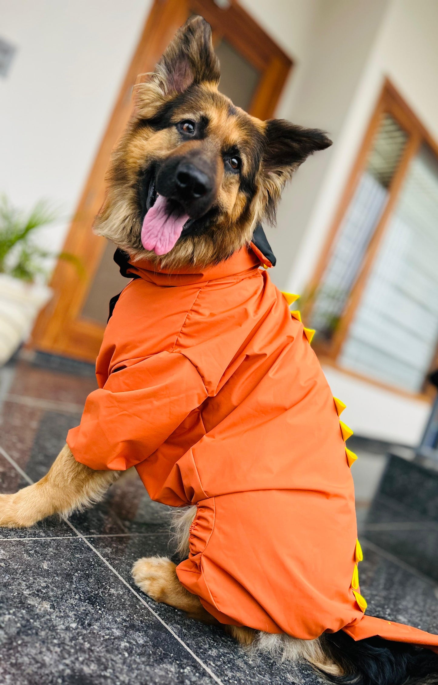 Petffection Dragon Drizzle Raincoat – Waterproof Dog Raincoat with Legs & Hood