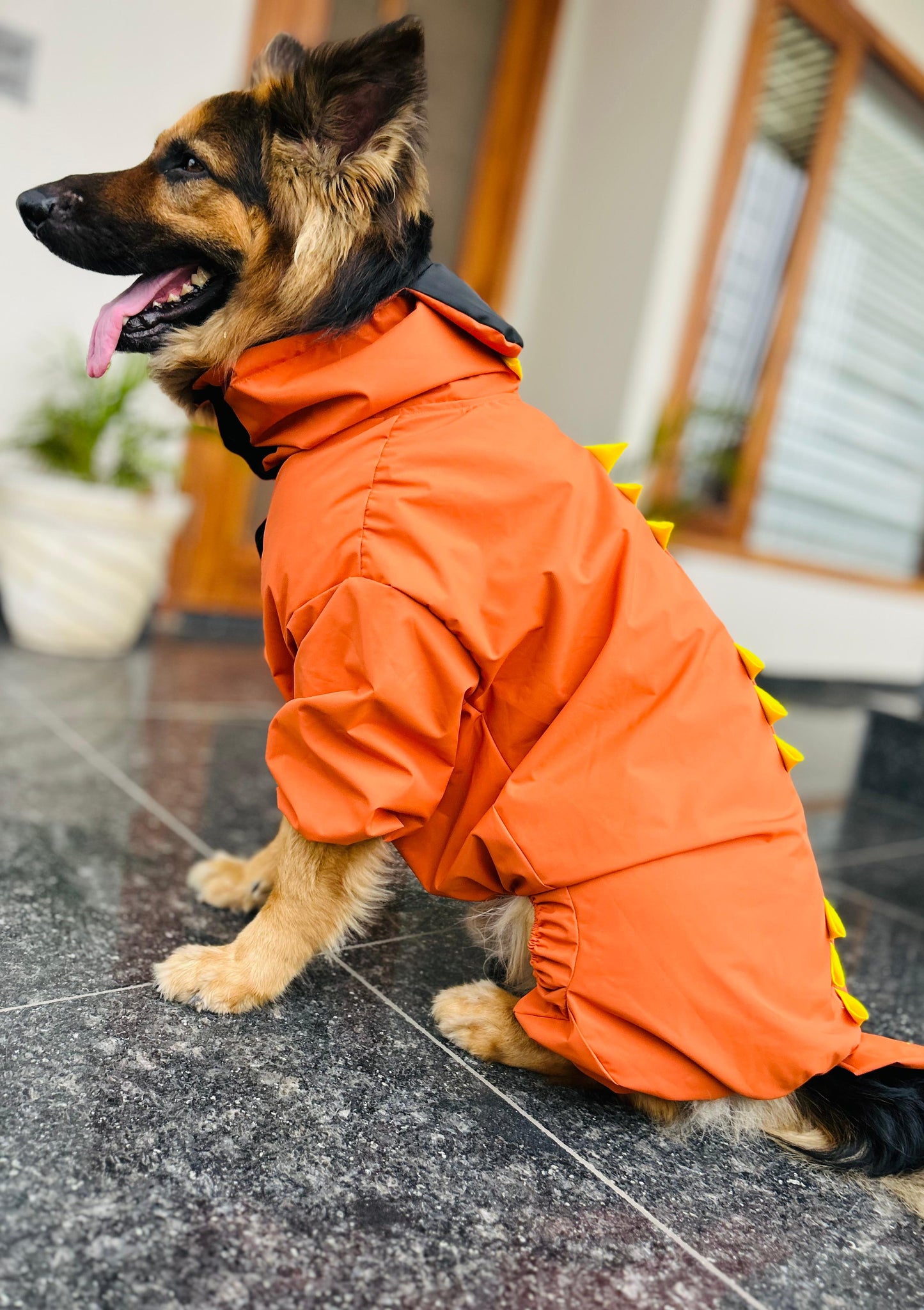 Petffection Dragon Drizzle Raincoat – Waterproof Dog Raincoat with Legs & Hood