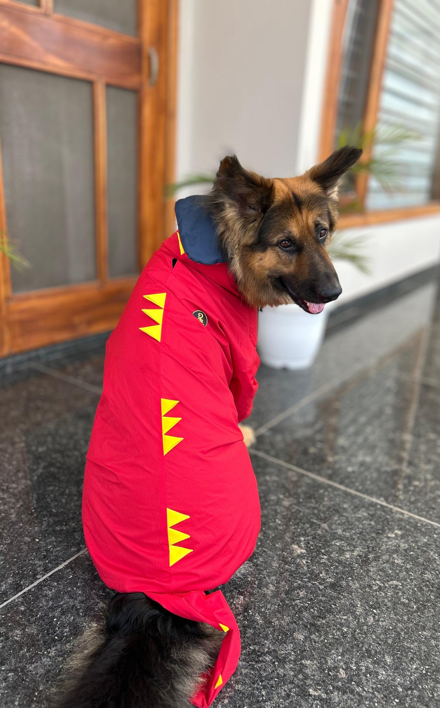 Petffection Dragon Drizzle Raincoat – Waterproof Dog Raincoat with Legs & Hood