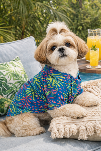 Tropical Breeze Dog Shirt – Premium Summer Wear for All Breeds