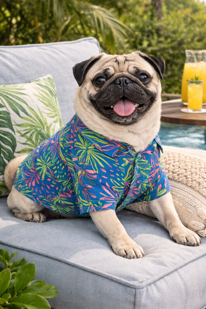 Tropical Breeze Dog Shirt – Premium Summer Wear for All Breeds