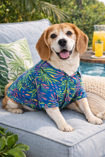 Tropical Breeze Dog Shirt – Premium Summer Wear for All Breeds
