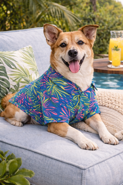 Tropical Breeze Dog Shirt – Premium Summer Wear for All Breeds