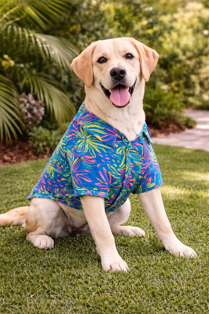 Tropical Breeze Dog Shirt – Premium Summer Wear for All Breeds