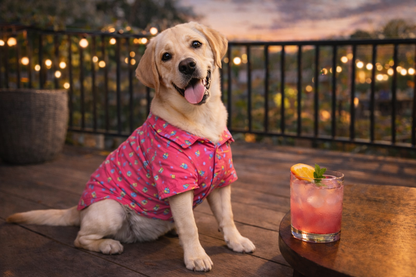 Pink Printed Dog Shirt | Stylish Summer Pet Outfit | Breathable Dog Clothes India