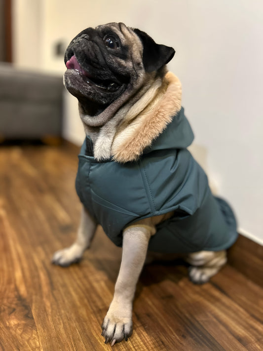 Petffection Waterproof Fur-Trimmed Hoodie Jacket – Ocean Green