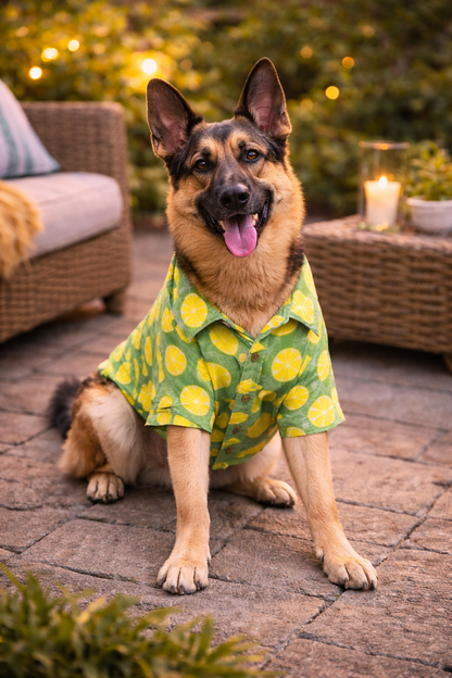 Lemon Print Dog Shirt | Summer Cooling Pet Shirt for Dogs | Lightweight Cotton Dog Apparel