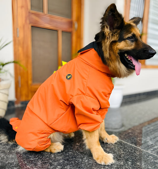 Petffection Dragon Drizzle Raincoat – Waterproof Dog Raincoat with Legs & Hood
