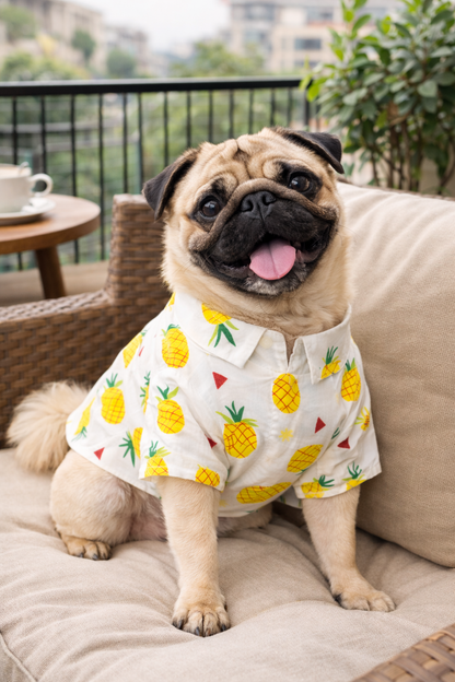 Petffection Pineapple Dog Shirt – Breathable Summer Hawaiian Shirt for Dogs | Lightweight Tropical Dog Apparel for Small, Medium & Large Dogs