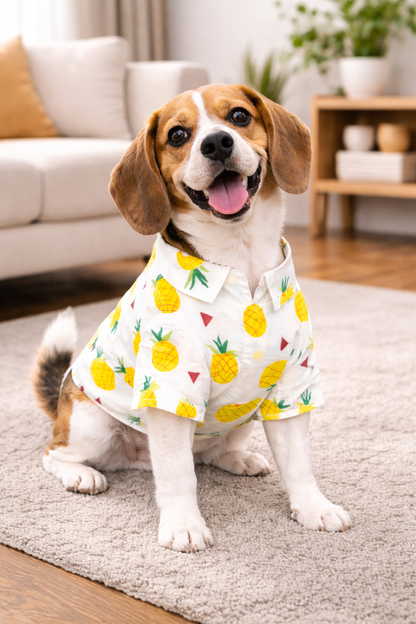 Petffection Pineapple Dog Shirt – Breathable Summer Hawaiian Shirt for Dogs | Lightweight Tropical Dog Apparel for Small, Medium & Large Dogs