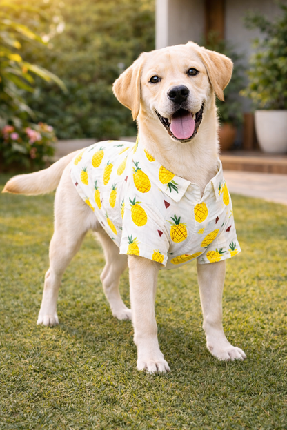 Petffection Pineapple Dog Shirt – Breathable Summer Hawaiian Shirt for Dogs | Lightweight Tropical Dog Apparel for Small, Medium & Large Dogs