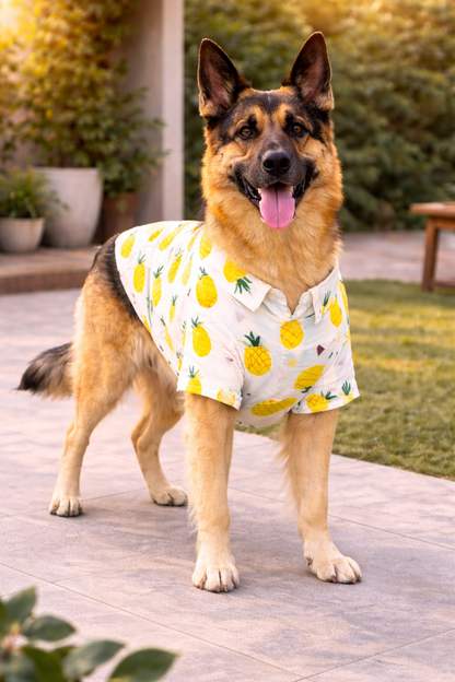 Petffection Pineapple Dog Shirt – Breathable Summer Hawaiian Shirt for Dogs | Lightweight Tropical Dog Apparel for Small, Medium & Large Dogs