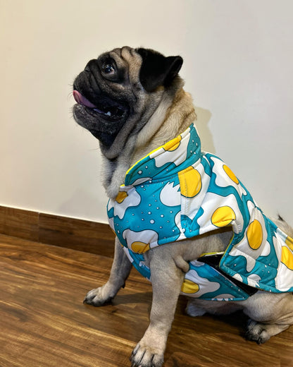 Petffection Eggsplorer Pup Printed Jacket