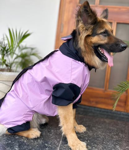 Petffection Thunder Trail Raincoat – All-Weather Waterproof Dog Jacket