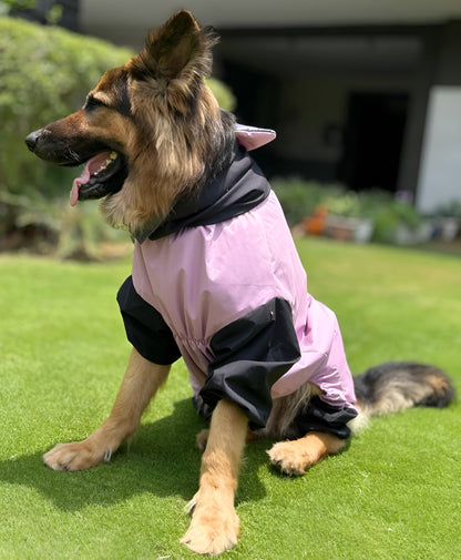 Petffection Thunder Trail Raincoat – All-Weather Waterproof Dog Jacket