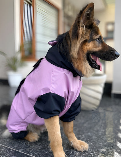 Petffection Thunder Trail Raincoat – All-Weather Waterproof Dog Jacket