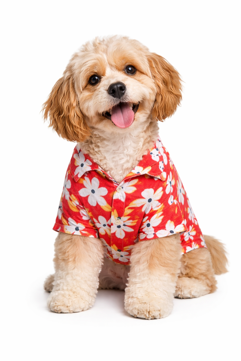 Floral Red Dog Shirt | Soft Breathable Cotton | Stylish & Comfortable Pet Outfit for Small, Medium & Large Dogs