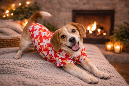 Floral Red Dog Shirt | Soft Breathable Cotton | Stylish & Comfortable Pet Outfit for Small, Medium & Large Dogs