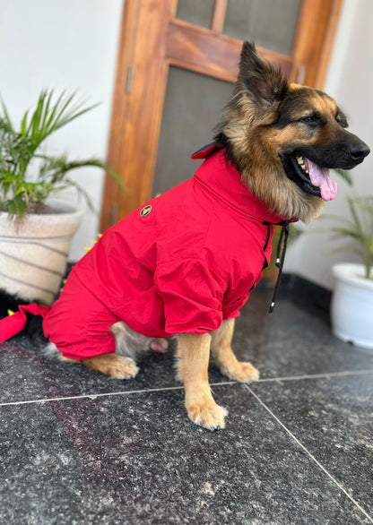 Petffection Dragon Drizzle Raincoat – Waterproof Dog Raincoat with Legs & Hood