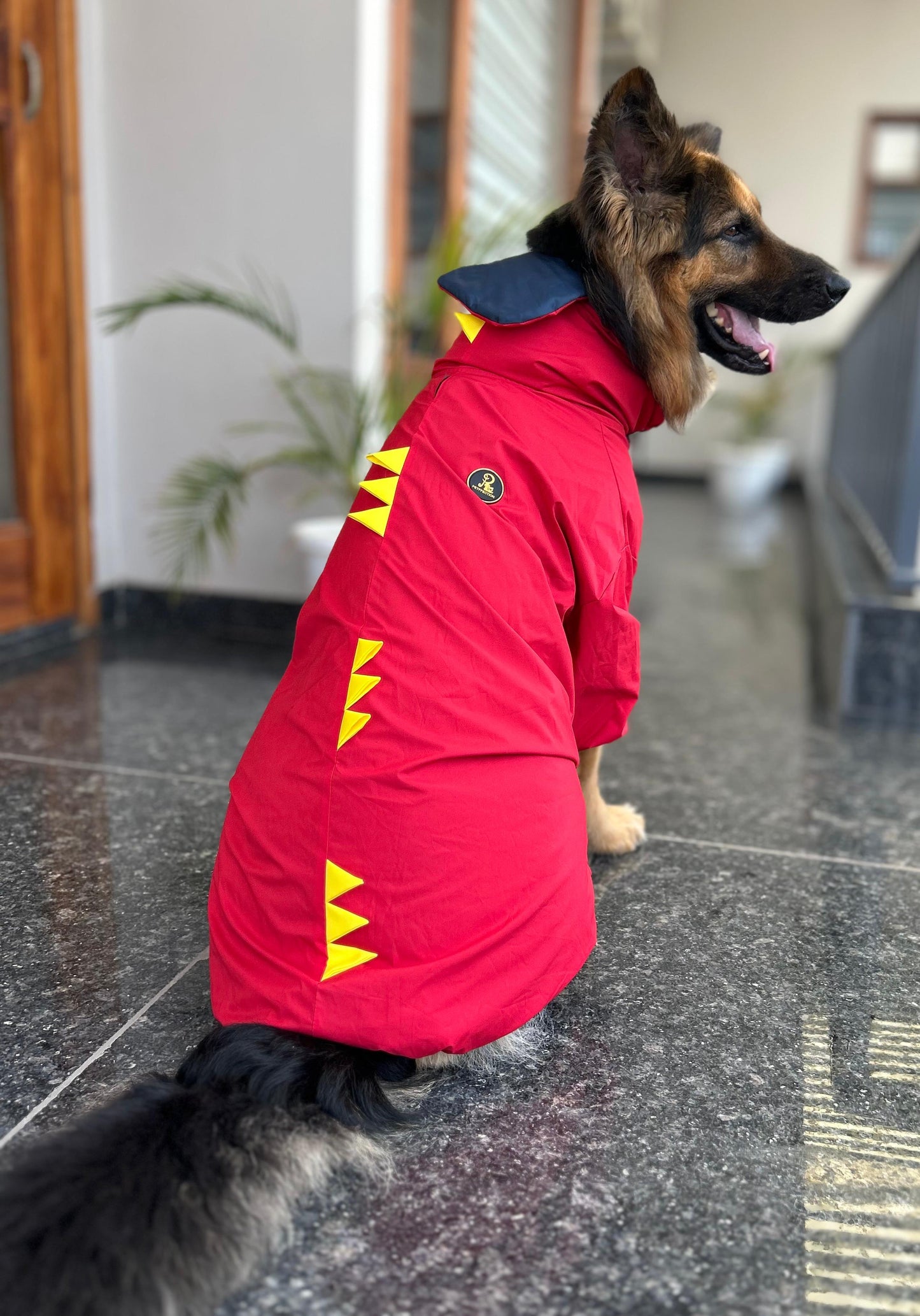 Petffection Dragon Drizzle Raincoat – Waterproof Dog Raincoat with Legs & Hood