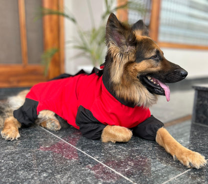 Petffection Thunder Trail Raincoat – All-Weather Waterproof Dog Jacket