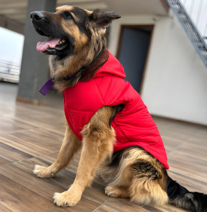 Petffection Waterproof Fur-Trimmed Hoodie Jacket(Red)