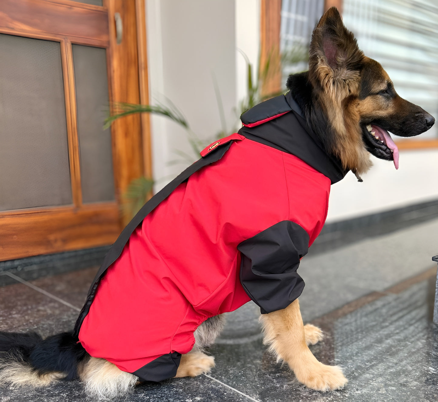 Petffection Thunder Trail Raincoat – All-Weather Waterproof Dog Jacket