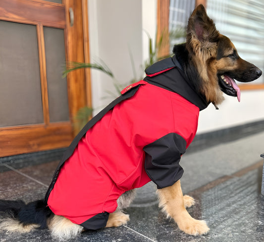 Petffection Thunder Trail Raincoat – All-Weather Waterproof Dog Jacket