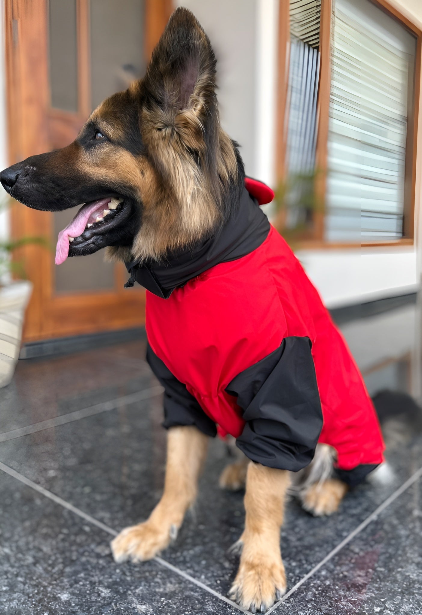 Petffection Thunder Trail Raincoat – All-Weather Waterproof Dog Jacket