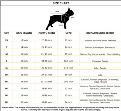 Petffection Dragon Drizzle Raincoat – Waterproof Dog Raincoat with Legs & Hood