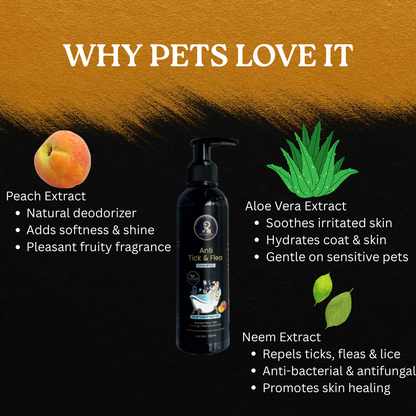 Petffection Anti Tick & Flea Shampoo – 200ml