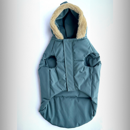 warm-winter-dog-hoodie