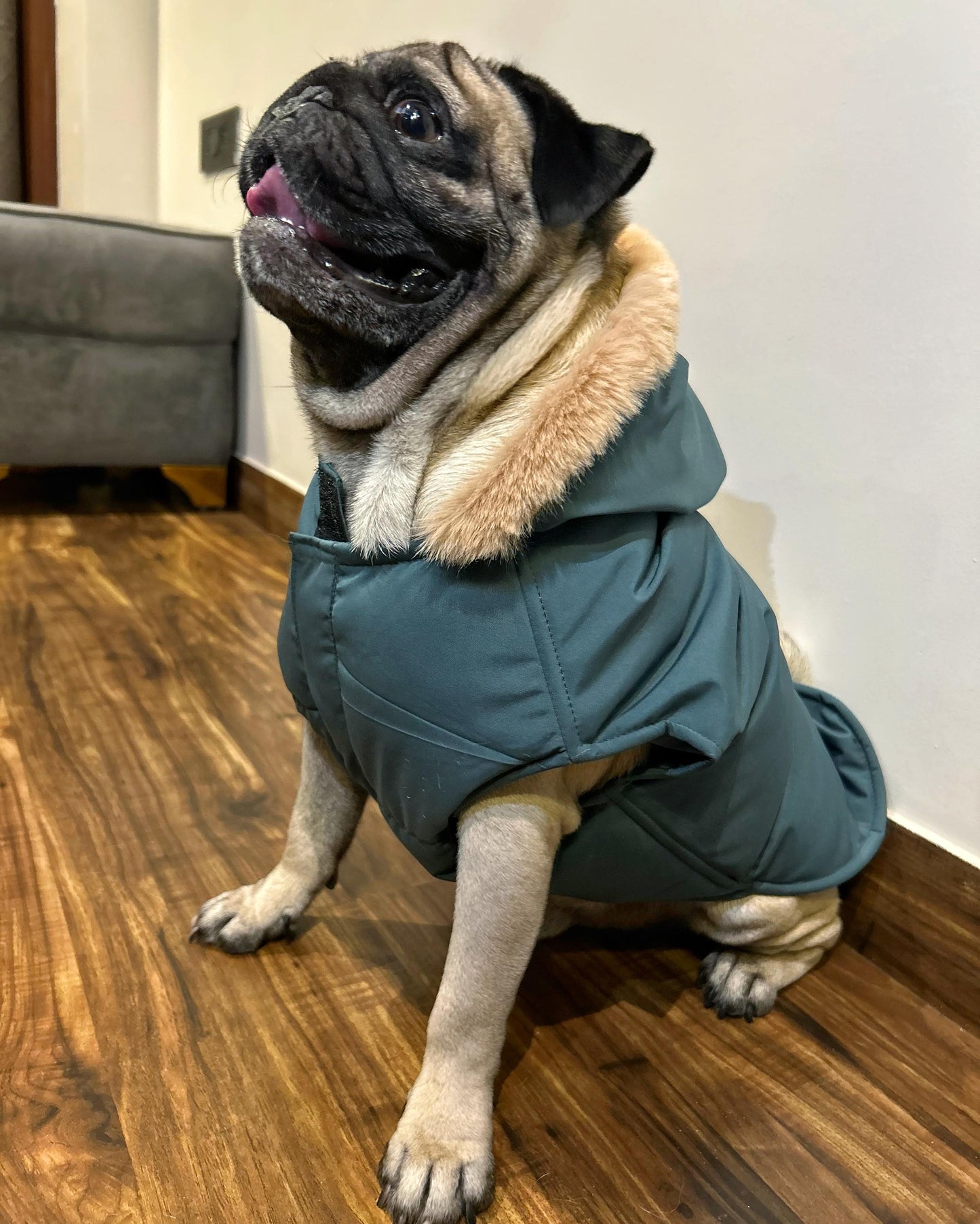 fur-trimmed-dog-hoodie-green
