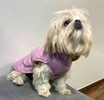 warm lavender dog coat for cold weather