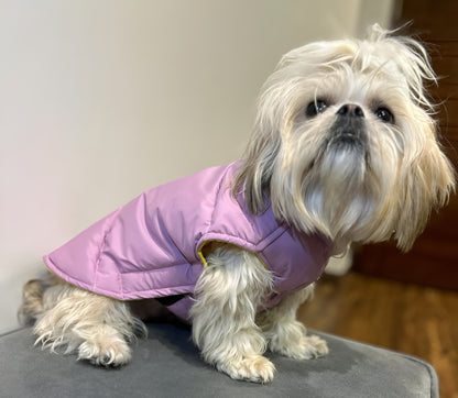 lavender waterproof dog winter coat on small breed