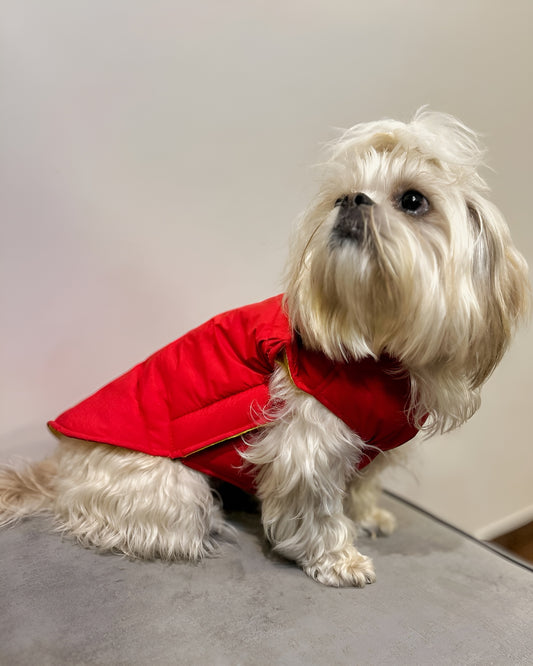 Petffection Waterproof Jacket (Red)