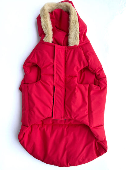 stylish-dog-winter-hoodie