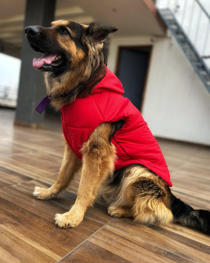 fur-trimmed-dog-hoodie-red