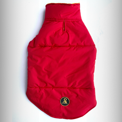 insulated red dog winter jacket for cold weather